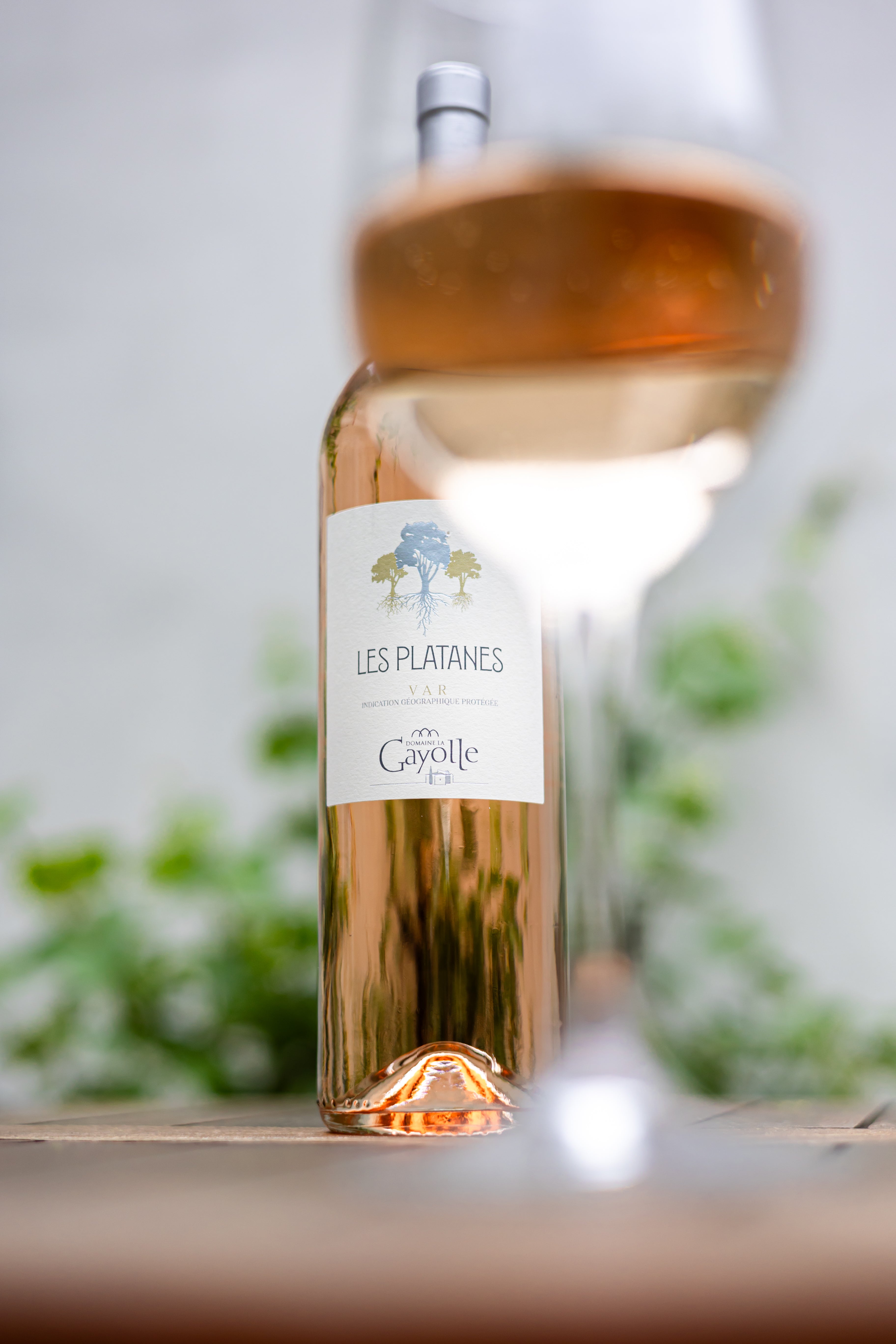 Rosé All Day!